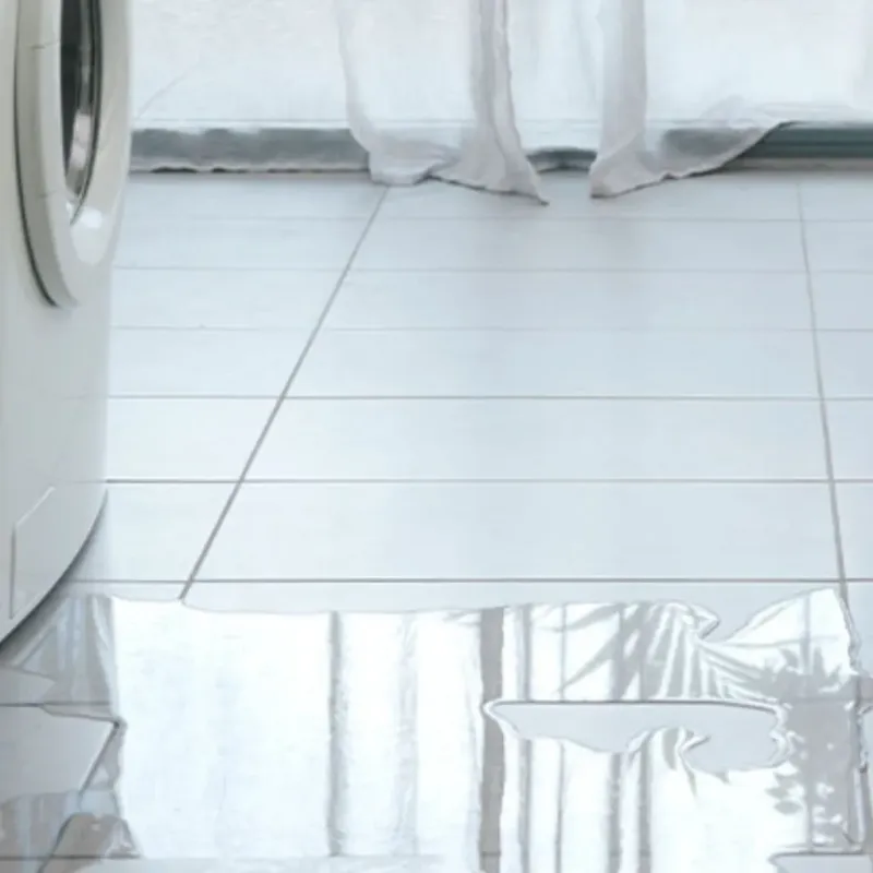 Appliance Leak Cleanup in Star, ID