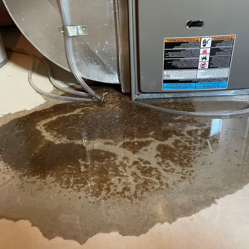 Pipe Burst and Leak Restoration in Star, ID